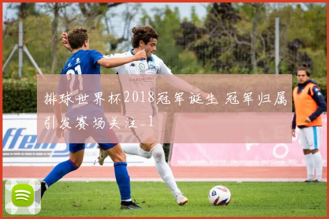 排球世界杯2018冠军诞生 冠军归属引发赛场关注_1