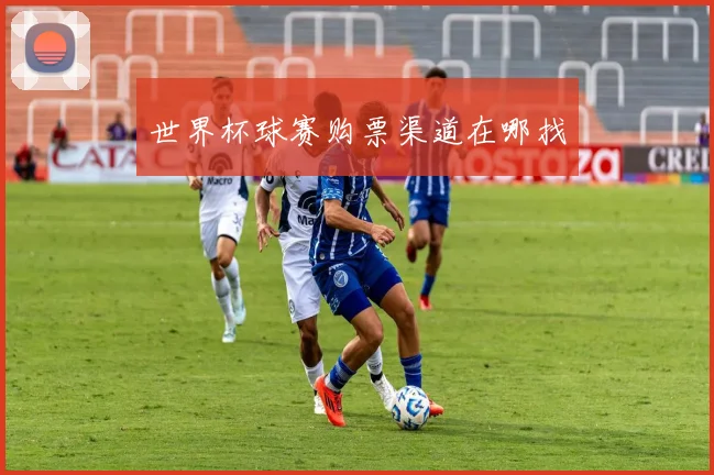 世界杯球赛购票渠道在哪找