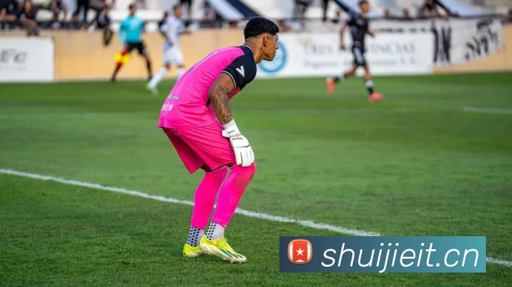 App Interface Preview